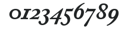 AdobeCaslonOldstyleFigures-Bold Italic numbers preview