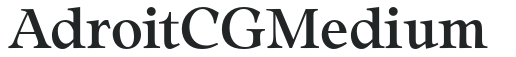 Adroit CG Medium preview