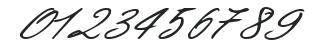 AimeeExtended Italic numbers preview