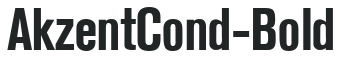 AkzentCond-Bold preview