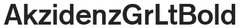 Akzidenz Gr Lt Bold preview