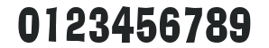 Alor-Condensed Normal numbers preview