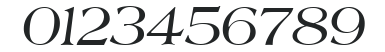 Americana Italic numbers preview