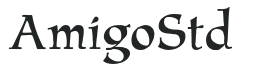 AmigoStd preview