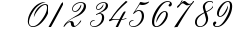 Anglia Script Concise preview