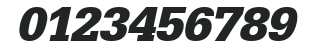 AnitaBecker Bold Italic numbers preview