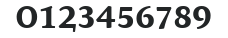 AtmaSerifLF-BoldRomanSC numbers preview