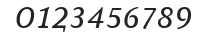 AtmaSerifLF-BookItalicSC numbers preview