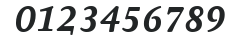 AtmaSerifTF-BoldItalicMC numbers preview
