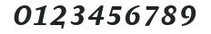 AtmaSerifTF-BoldItalicSC numbers preview