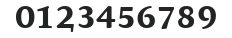 AtmaSerifTF-BoldRomanSC numbers preview