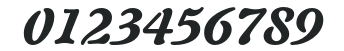 AuriolLTStd-BlackItalic numbers preview