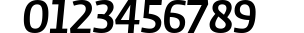 Auto 1 Bold Italic LF preview