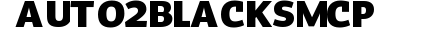 Auto 2 Black SmCp preview