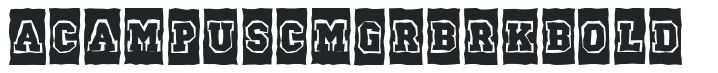 a_CampusCmGrBrk Bold preview