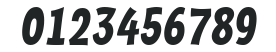 a_Frudger Italic numbers preview