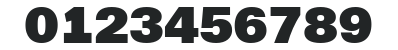 a_ReportSansBck numbers preview