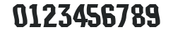 a_TechnocratWaved numbers preview
