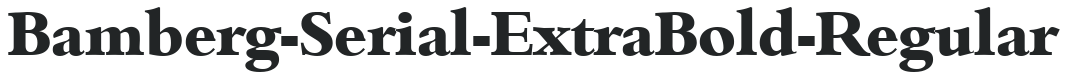 Bamberg-Serial-ExtraBold-Regular preview