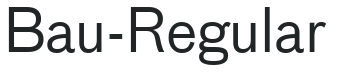 Bau-Regular letters preview