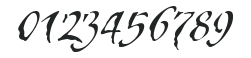 Beanwood Script numbers preview