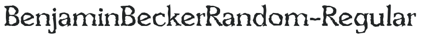 BenjaminBeckerRandom-Regular letters preview