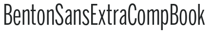 BentonSans ExtraComp Book preview