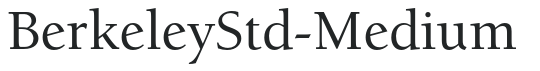 BerkeleyStd-Medium letters preview