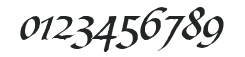 Bible Script LET Plain:1.0 numbers preview