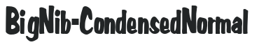 Big Nib-Condensed Normal preview