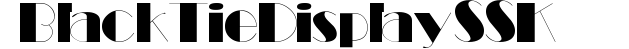 BlackTieDisplaySSK preview