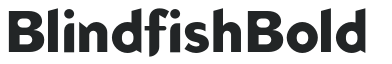 BlindfishBold preview