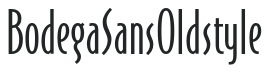 BodegaSansOldstyle letters preview