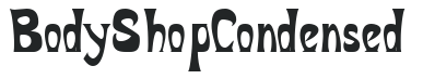 BodyShopCondensed preview