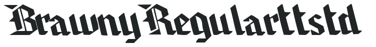 Brawny Regular ttstd preview