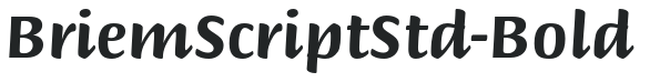 BriemScriptStd-Bold preview