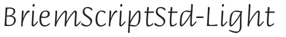 BriemScriptStd-Light preview