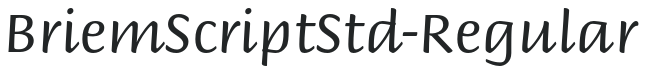 BriemScriptStd-Regular preview