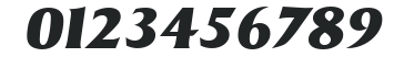 BruceBecker-Heavy Italic numbers preview