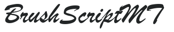 BrushScript MT letters preview