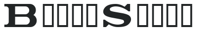 Bunth Serif letters preview