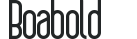boa© _bold preview