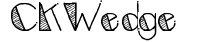 CK Wedge preview