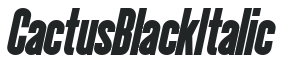 CactusBlack Italic preview