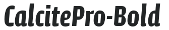 CalcitePro-Bold preview