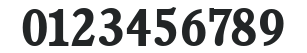 Calgary-Serial-Bold numbers preview