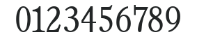 Calgary-Serial-Light-Regular numbers preview