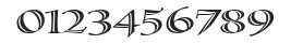 Calligraphica numbers preview