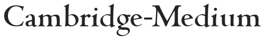 Cambridge-Medium letters preview