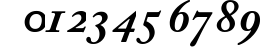 Caslon Pro Black SSi Bold Italic preview